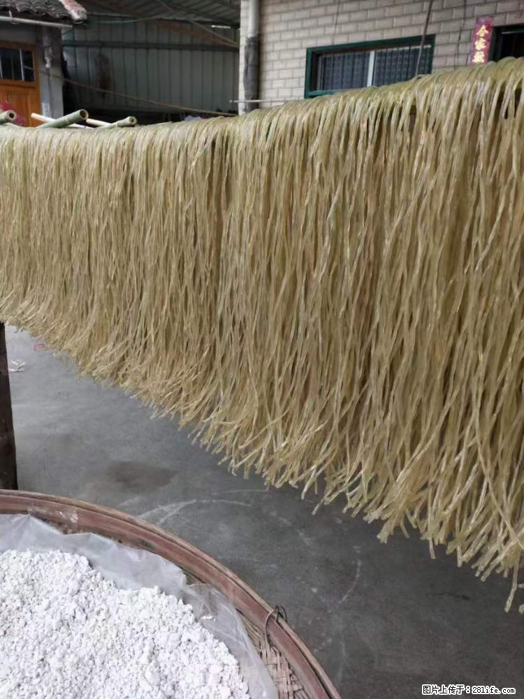 【灌阳正宗红薯粉】美女家里自己做的,干净卫生,假一赔十,价格合理,抢购电话:13737312895 - 美食天地 - 新乡生活社区 - 新乡28生活网 xx.28life.com