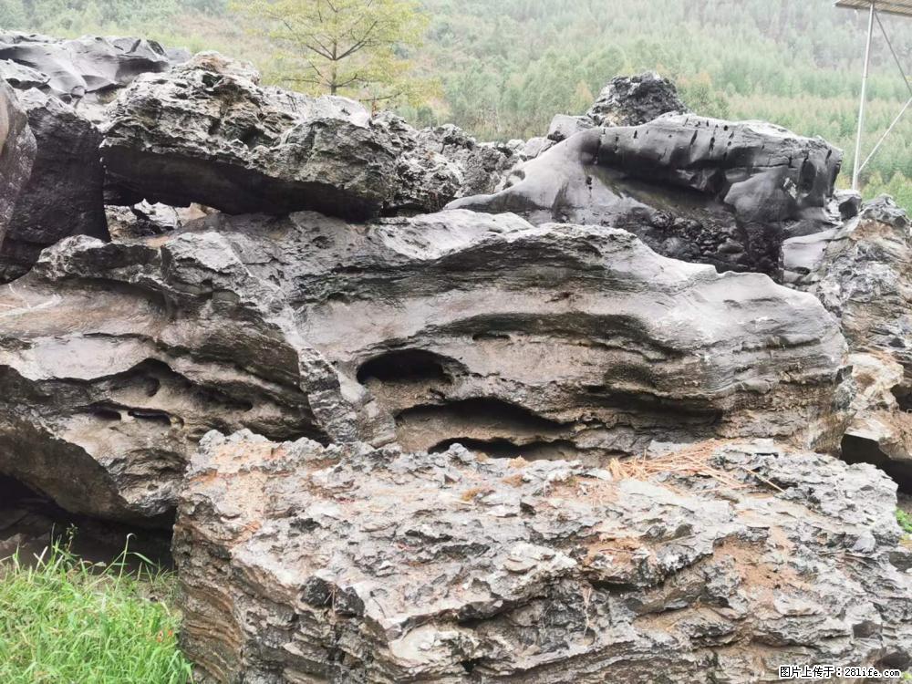 风景石、假山石大量有货,有需要的欢迎联系 - 新手上路 - 新乡生活社区 - 新乡28生活网 xx.28life.com
