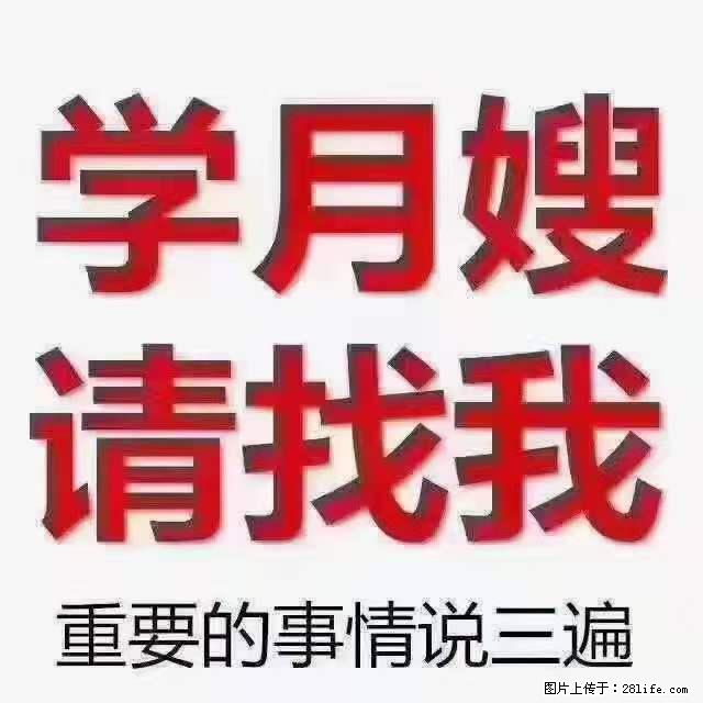 为什么要学习月嫂,育婴师? - 新手上路 - 新乡生活社区 - 新乡28生活网 xx.28life.com