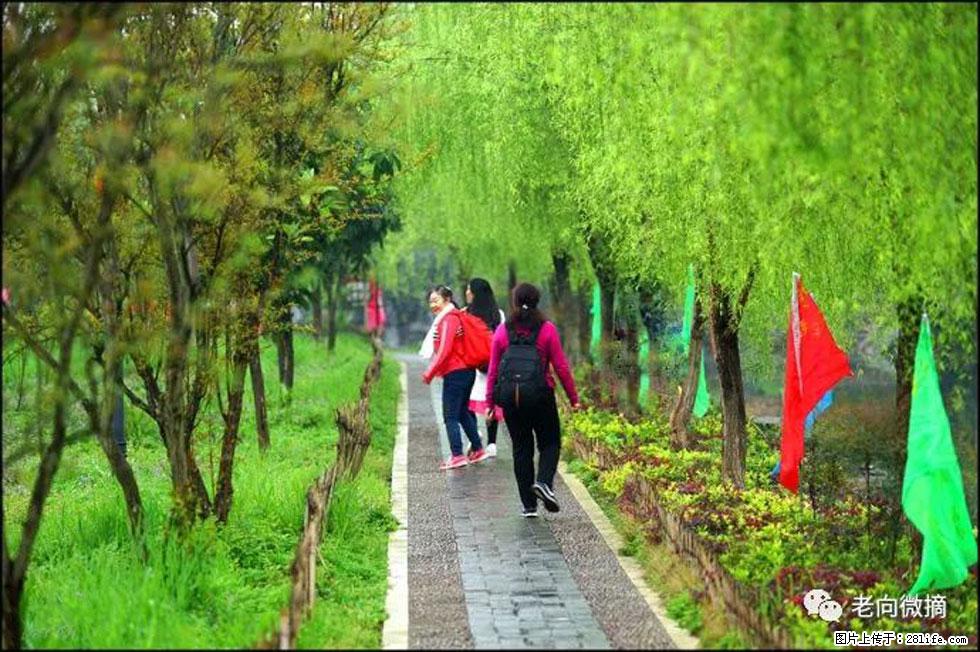 【春天,广西桂林灌阳县向您发出邀请!】江口老街又逢春 - 游山玩水 - 新乡生活社区 - 新乡28生活网 xx.28life.com