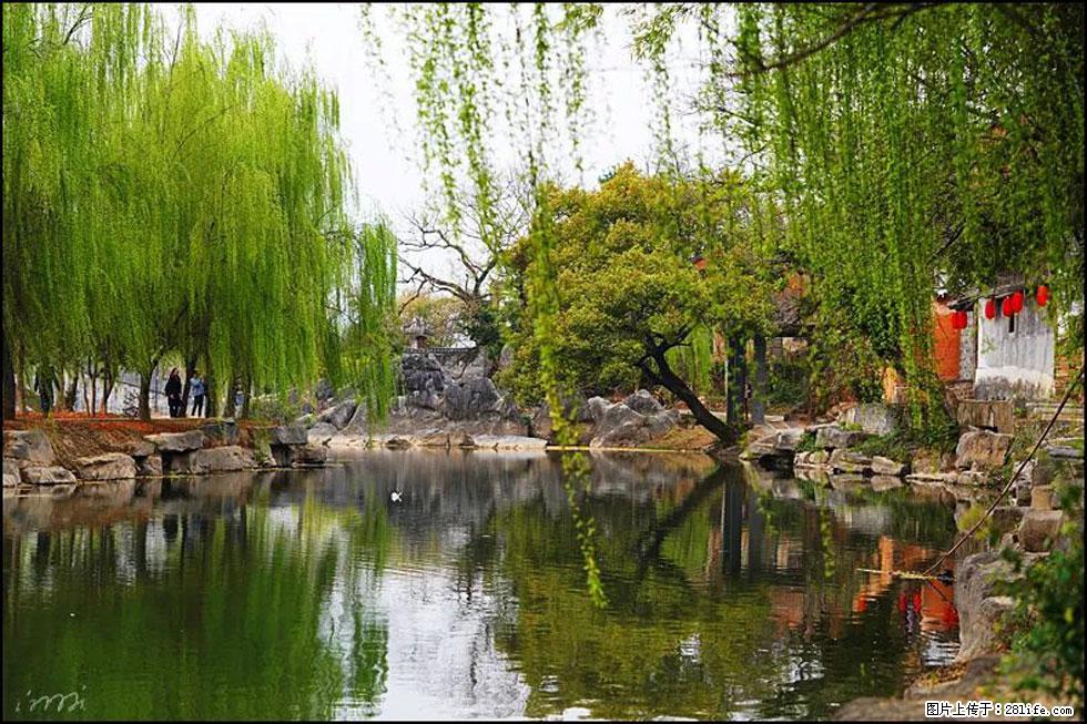 【春天,广西桂林灌阳县向您发出邀请!】江口老街又逢春 - 游山玩水 - 新乡生活社区 - 新乡28生活网 xx.28life.com