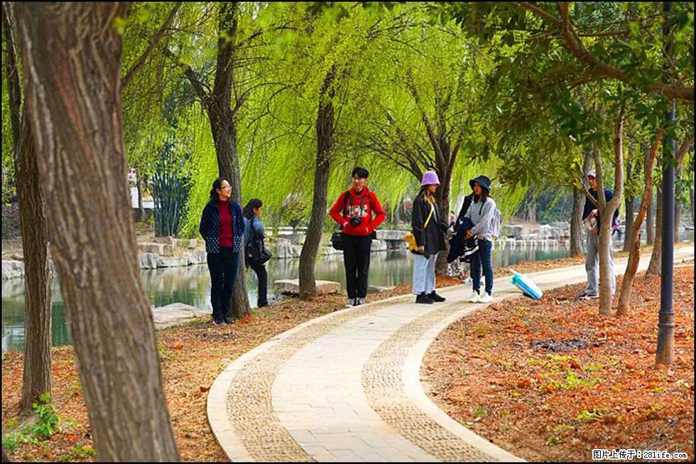 【春天,广西桂林灌阳县向您发出邀请!】江口老街又逢春 - 游山玩水 - 新乡生活社区 - 新乡28生活网 xx.28life.com