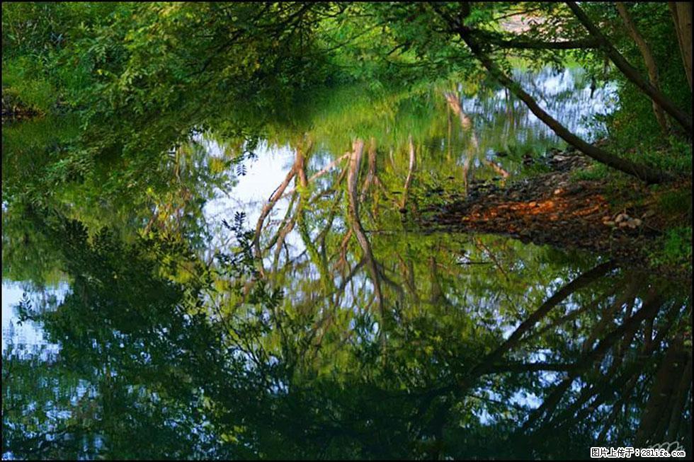 【春天,广西桂林灌阳县向您发出邀请!】熊家寨湿地公园 - 游山玩水 - 新乡生活社区 - 新乡28生活网 xx.28life.com