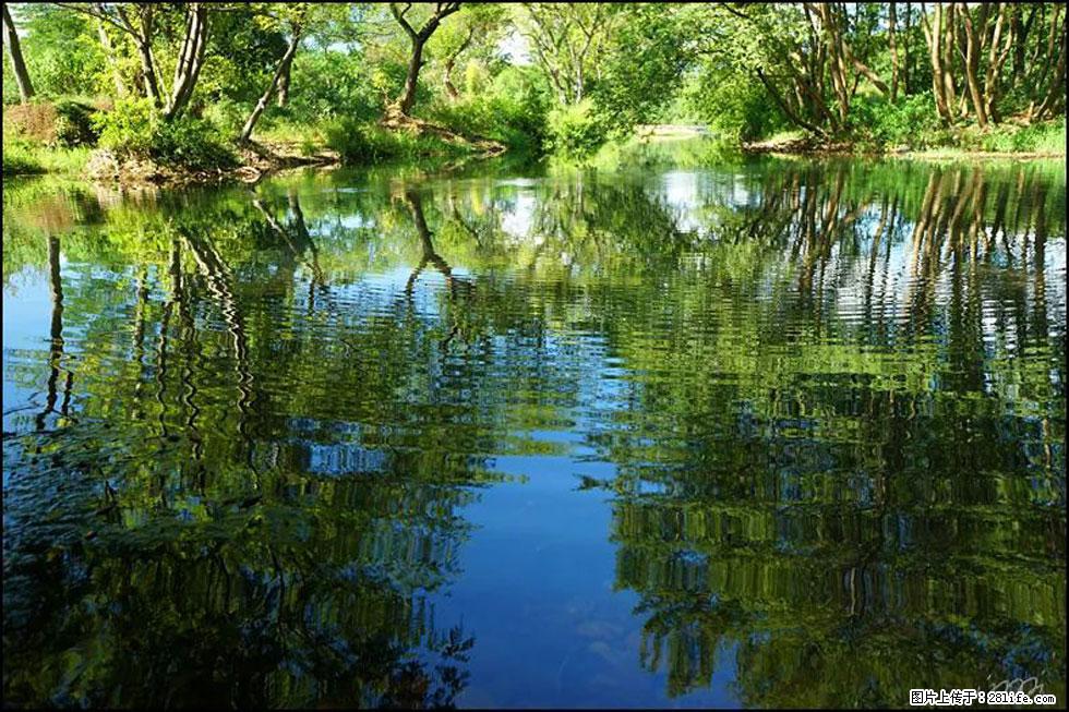 【春天,广西桂林灌阳县向您发出邀请!】熊家寨湿地公园 - 游山玩水 - 新乡生活社区 - 新乡28生活网 xx.28life.com