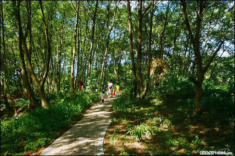 【春天,广西桂林灌阳县向您发出邀请!】熊家寨湿地公园 - 游山玩水 - 新乡生活社区 - 新乡28生活网 xx.28life.com