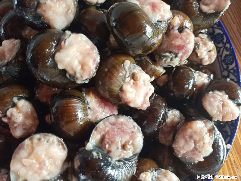 （舌尖上的乡村）灌阳：让人口齿留香的田螺酿 - 2023年07月31日 桂林日报第6版刊发 - 美食天地 - 新乡生活社区 - 新乡28生活网 xx.28life.com