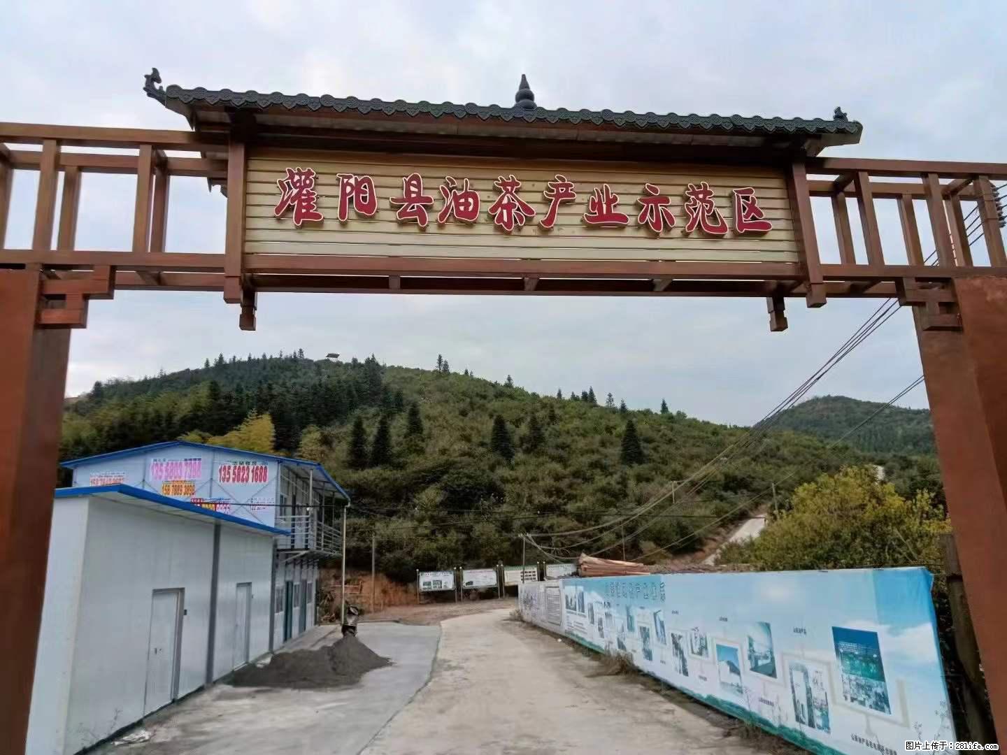 【灌阳县油茶产业示范区】一个有着充实的精神生活的人,对待身外之物自会有一种淡泊的态度 - 美食天地 - 新乡生活社区 - 新乡28生活网 xx.28life.com