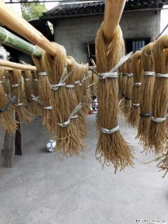 【灌阳正宗红薯粉】美女家里自己做的,干净卫生,假一赔十,价格合理,抢购电话:13737312895 - 新乡28生活网 xx.28life.com