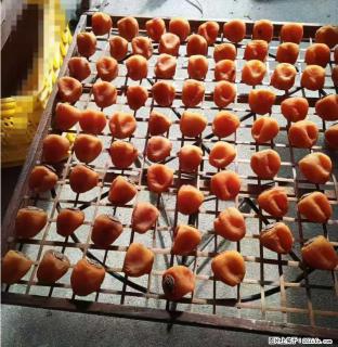 广西桂林平乐桥亭【柿饼之乡】2025年纯手工制作、无任何添加剂的第一批柿饼准备上市了，欢迎联系订购！ - 新乡28生活网 xx.28life.com