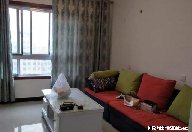 金谷阳光地带 精装修 未住过人 干净 - 房屋出租 - 房屋租售 - 新乡分类信息 - 新乡28生活网 xx.28life.com