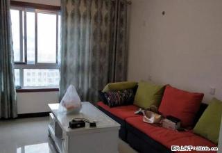 金谷阳光地带 精装修 未住过人 干净 - 新乡28生活网 xx.28life.com