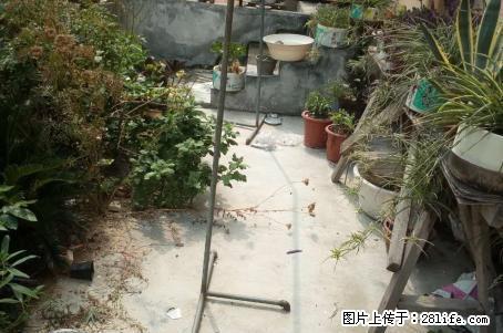 安居新村 一楼 两室 家具家电出租 - 房屋出租 - 房屋租售 - 新乡分类信息 - 新乡28生活网 xx.28life.com