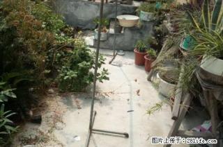 安居新村 一楼 两室 家具家电出租 - 新乡28生活网 xx.28life.com