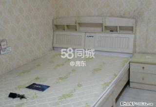 火车站汇金城近邻小区 1室1厅1卫 - 新乡28生活网 xx.28life.com