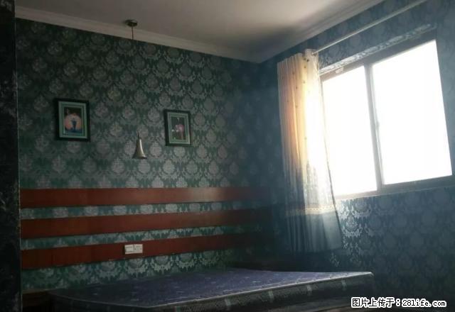 五星座 精装公寓 急租 价钱可商量带家具家电 急租 - 房屋出租 - 房屋租售 - 新乡分类信息 - 新乡28生活网 xx.28life.com