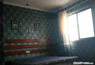 五星座单身公寓1室1厅1卫精装修拎包入住房东急租 - 新乡28生活网 xx.28life.com