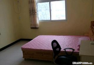 牧野湖青年公寓 1室0厅1卫 - 新乡28生活网 xx.28life.com