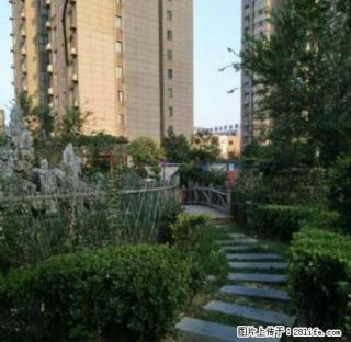 (单间出租)急租宝龙近中装大三室双气配套齐全拎包入住生活方便速联系 - 新乡28生活网 xx.28life.com