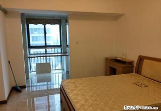 宝龙钻石公寓 1室1厅1卫 - 新乡28生活网 xx.28life.com