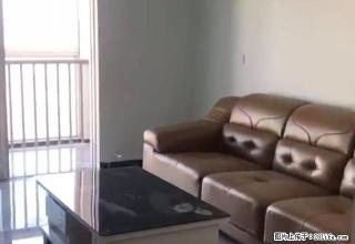 东区进达精装三室紧邻互联网商会大厦宝龙家电齐全拎包入住 - 新乡28生活网 xx.28life.com