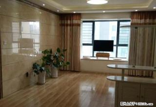 励阳房产高档精装修+双气+拎包入住+可以办公可住宿 - 新乡28生活网 xx.28life.com