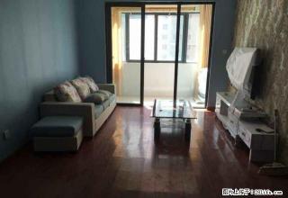 励阳房产万达彩虹桥附近精装修拎包入住 - 新乡28生活网 xx.28life.com