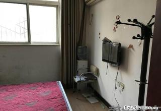 宏力大道与郊委路 陵园小学对面 金谷华庭 标间。拎包入住 - 新乡28生活网 xx.28life.com