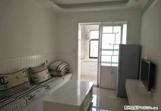 发展红星城市广场豪华装修仅1300元 - 新乡28生活网 xx.28life.com