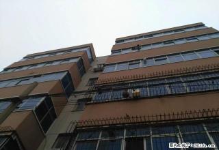 精装一楼精装一楼,万达对面 - 新乡28生活网 xx.28life.com