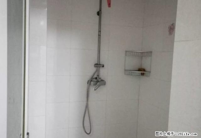 市政府近，精装2室，带全部家具家电出租， - 房屋出租 - 房屋租售 - 新乡分类信息 - 新乡28生活网 xx.28life.com