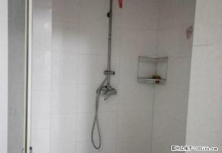 市政府近，精装2室，带全部家具家电出租， - 新乡28生活网 xx.28life.com