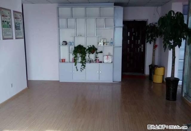百货大楼近 新丹尼斯华彬阳光广场 精装 - 房屋出租 - 房屋租售 - 新乡分类信息 - 新乡28生活网 xx.28life.com