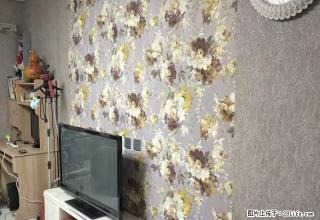 翡翠城 豪华装修 急租拎包入住 家电齐全 - 新乡28生活网 xx.28life.com