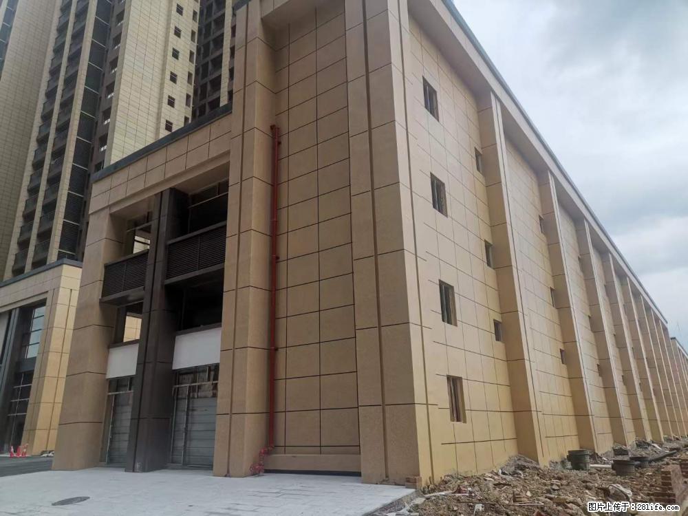 【广西三象建筑安装工程有限公司】外墙涂料工程 - 新手上路 - 新乡生活社区 - 新乡28生活网 xx.28life.com
