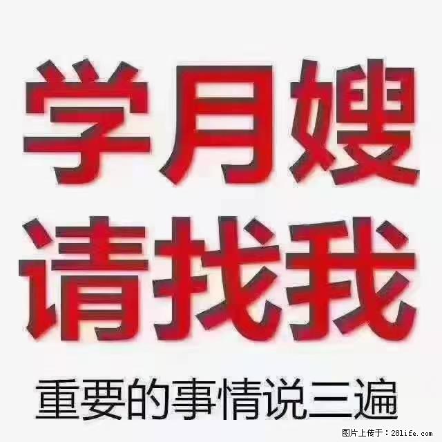 【招聘】月嫂,上海徐汇区 - 职场交流 - 新乡生活社区 - 新乡28生活网 xx.28life.com