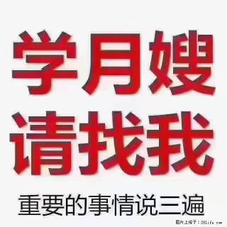 【招聘】月嫂,上海徐汇区 - 新乡28生活网 xx.28life.com