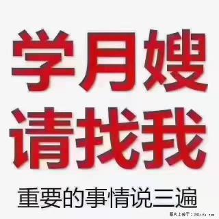 【招聘】月嫂，上海徐汇区 - 新乡28生活网 xx.28life.com