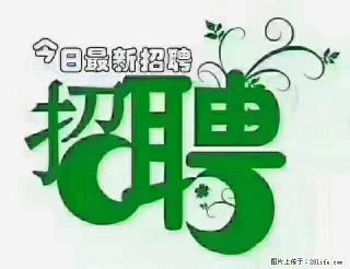 上海隔离酒店招人:55岁以下 男女不限 - 新乡28生活网 xx.28life.com