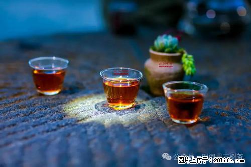 时间果百年古树2025年春红茶 - 购物交流 - 新乡生活社区 - 新乡28生活网 xx.28life.com