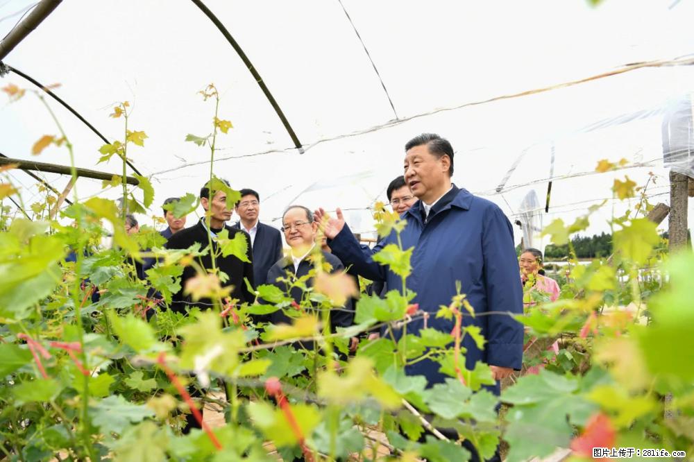 习近平赴广西考察调研 - 新乡生活资讯 - 新乡28生活网 xx.28life.com