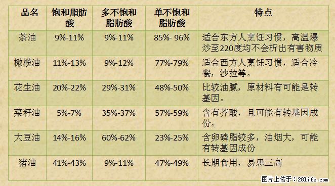 揭秘茶油的5大核心营养成分!被称为人体健康的“守护盾”! - 新乡生活资讯 - 新乡28生活网 xx.28life.com