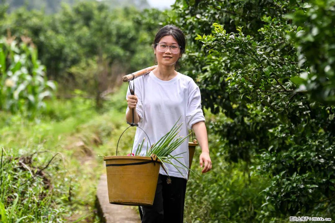 全网追的“扁担女孩”,找了一份暑假工,时薪12元 - 新乡生活资讯 - 新乡28生活网 xx.28life.com