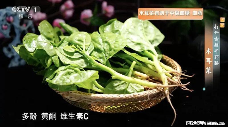 比牛奶补钙还厉害!凉血解毒、稳血糖...这菜冬天必吃,很多人却当草 - 新乡生活资讯 - 新乡28生活网 xx.28life.com