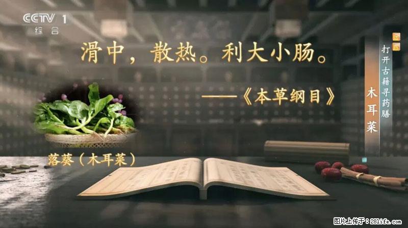 比牛奶补钙还厉害!凉血解毒、稳血糖...这菜冬天必吃,很多人却当草 - 新乡生活资讯 - 新乡28生活网 xx.28life.com