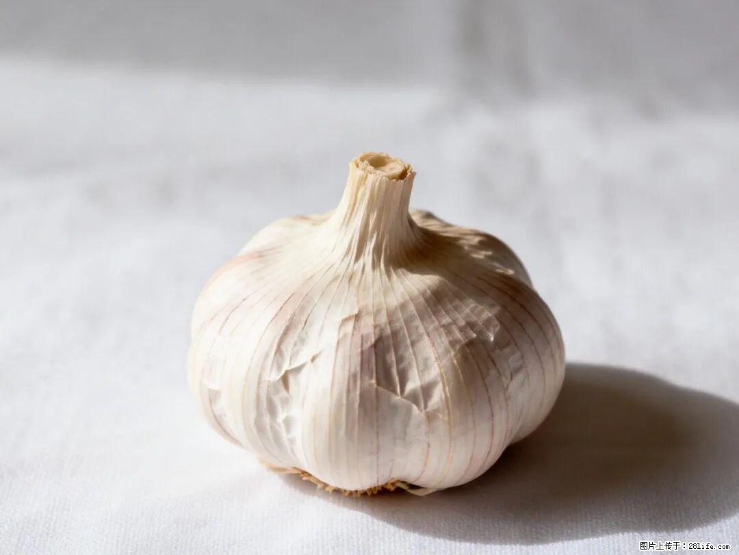 关于大蒜,除了“天然抗生素”,这4个谣言更该警惕! - 新乡生活资讯 - 新乡28生活网 xx.28life.com