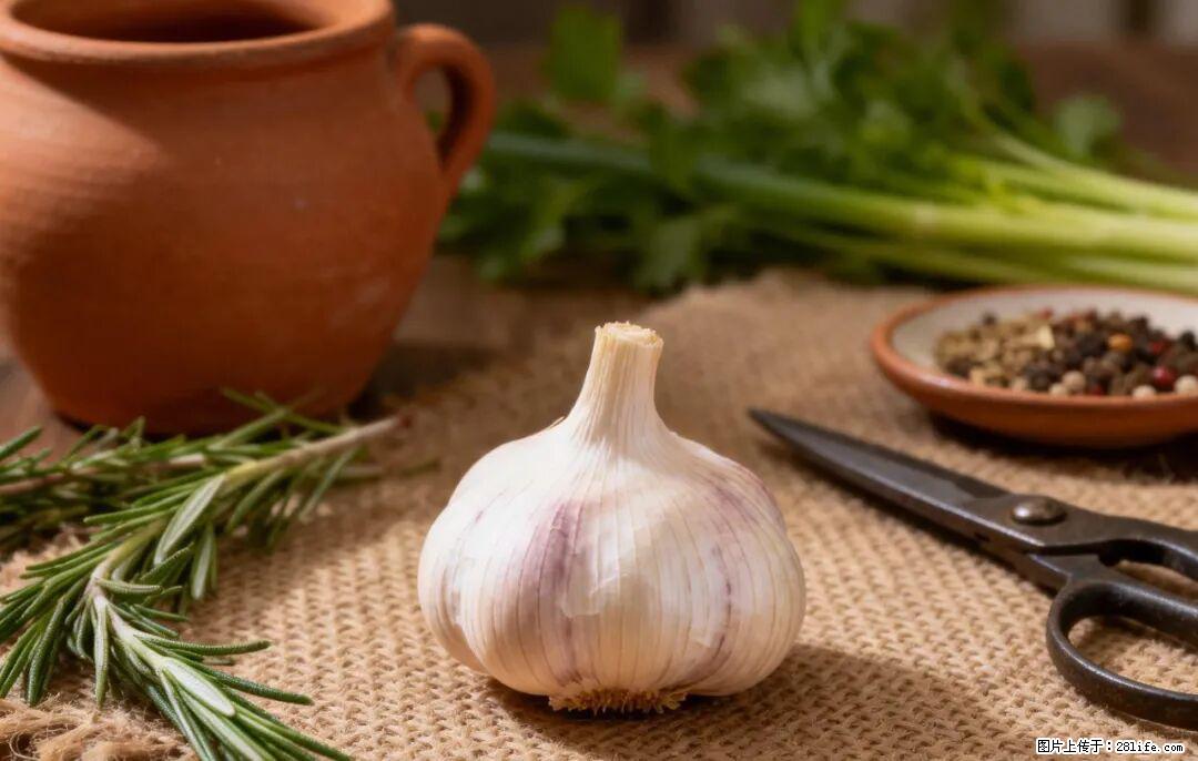 关于大蒜,除了“天然抗生素”,这4个谣言更该警惕! - 新乡生活资讯 - 新乡28生活网 xx.28life.com