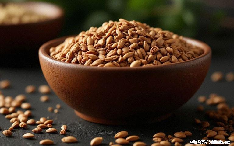 这三苦是三高“克星”,心血管干净不易堵!每天吃一点,指标慢慢降下来~ - 新乡生活资讯 - 新乡28生活网 xx.28life.com